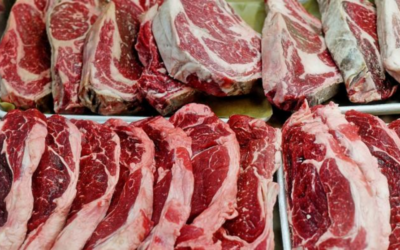 Pakistan sasar untung US$200 juta, eksport daging halal ke Malaysia