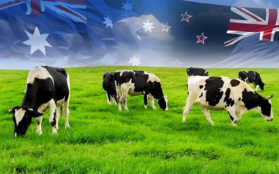 Australia berunding tingkat eksport daging Halal ke Malaysia