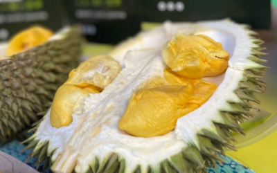 SDurian World catat rekod Pesta Durian Terbesar dengan Penyertaan Teramai