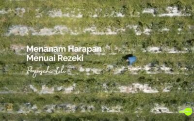 Dari benih kecil, lahirnya kejayaan besar