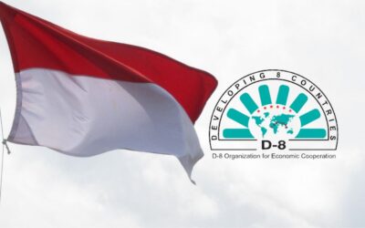 Indonesia seeks to bolster Muslim economies through D-8