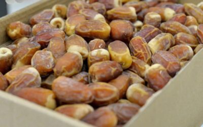 UAE gifts Indonesia 30 tons of dates for Ramadan