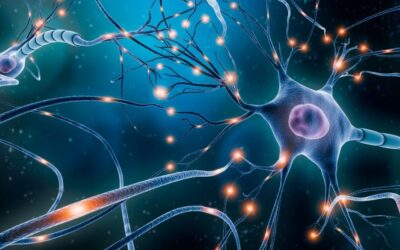 How fasting shifts our nervous system from chaos to calm
