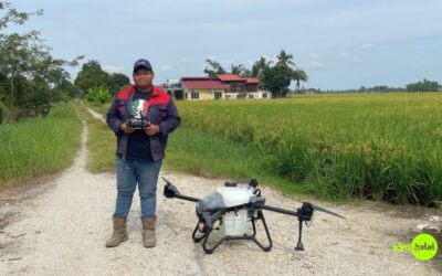 Lumpur, dron dan mesin padi pengubah nasib Anwar Ibrahim