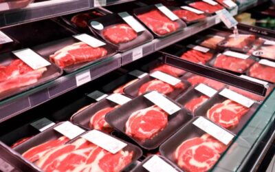 Halal meat demand rises across European supermarkets, restaurants