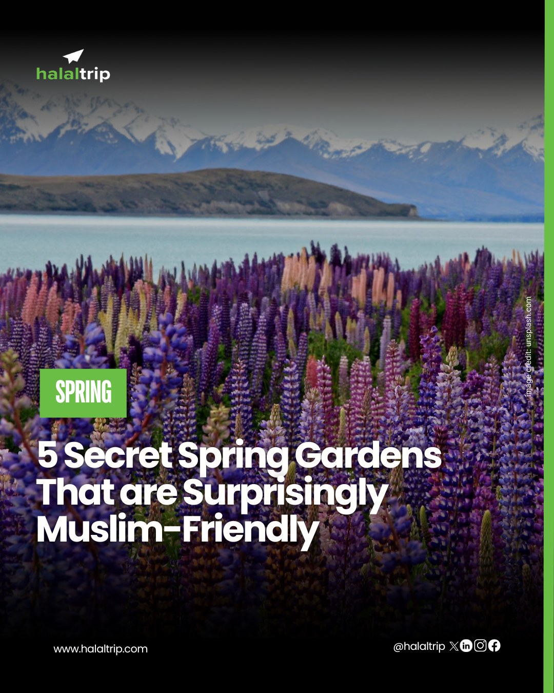 Spring awakens something sacred within us 🌸 As the earth bursts into color…