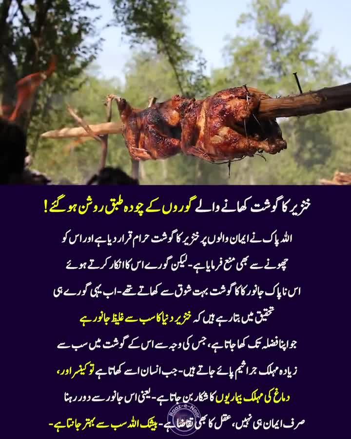 Pig Meat Has The Most Parasites | Raaz e Noor #PigMeat #Parasites #Meat…