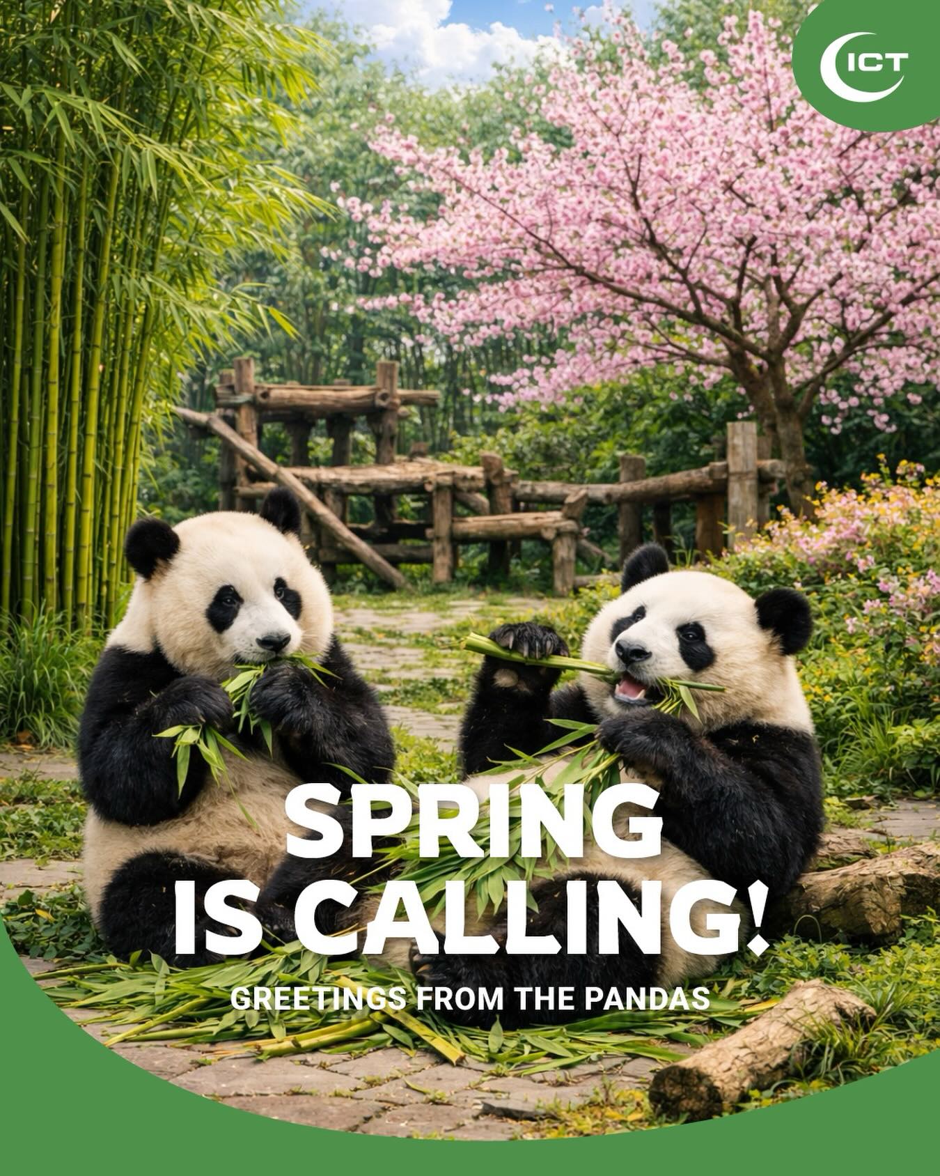April adalah waktu terbaik mengunjungi Chengdu! Udara sejuk membuat para Panda…