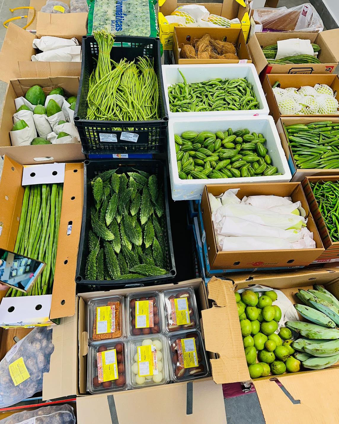 Fresh vegetables & seasonal fruits just arrived! Stock up your kitchen with the…