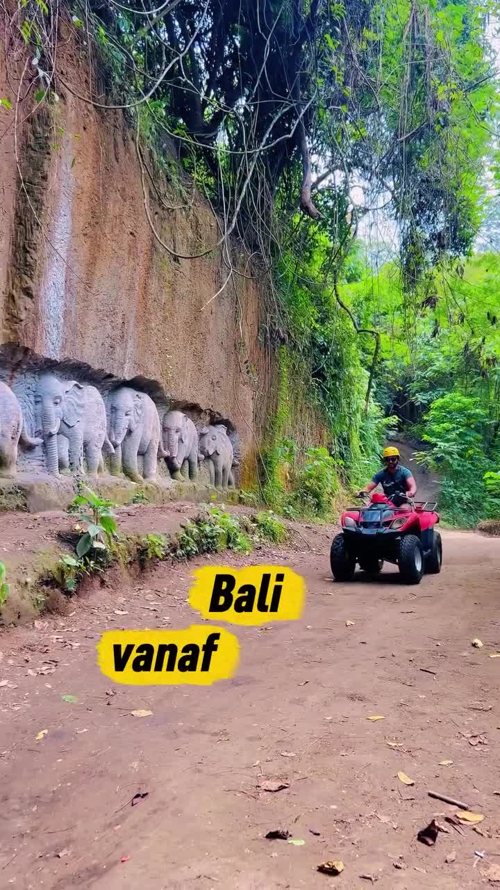 Bali vanaf €1200 met alles inbegrepen? 👀 Van betaalbaar tot villa’s met privé…