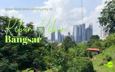 Best place to learn to grow your own food— and community!
